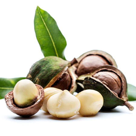 Macadamia Nut