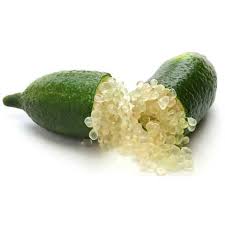 Australian Finger Lime