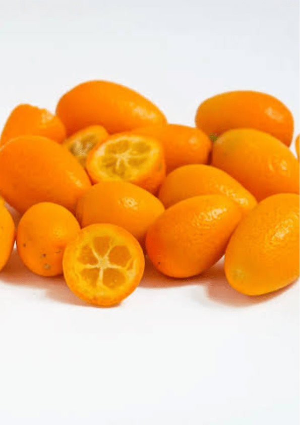 Meiwa Kumquat Fruit Plant