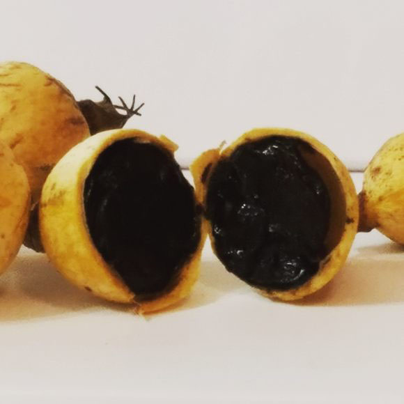 Blackberry Jam Fruit Plant