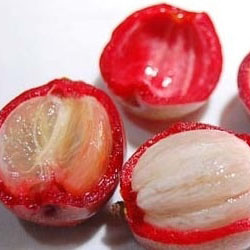 Sweet Kokum