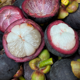 Mangosteen Fruit Plant