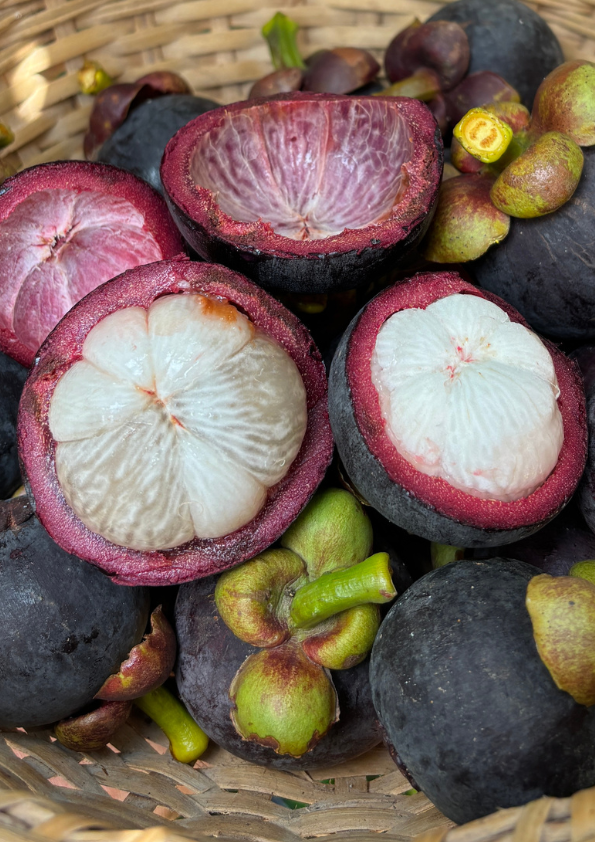 Mangosteen Fruit Plant