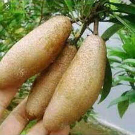 Thai Banana Sapota