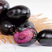 Black Jamun/ Black Java Plum Fruit Plant