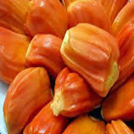 Chembaratti Varikka Jackfruit Grafted Plant