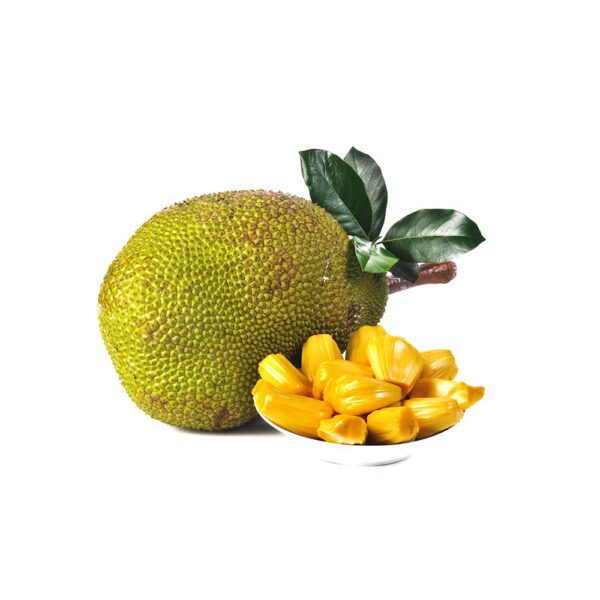 J33 Jackfruit