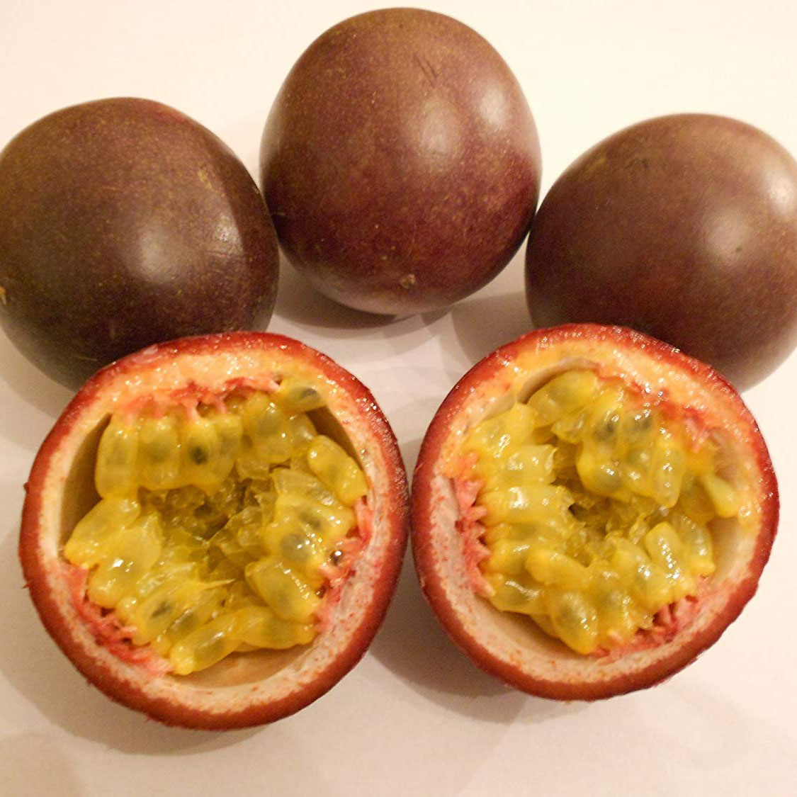 Passion Fruit Kaveri Plant