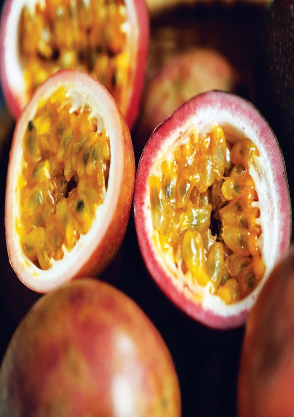 Passion Fruit Kaveri Plant