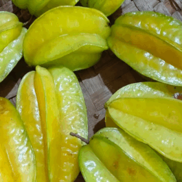 Star Fruit Grafted Plant