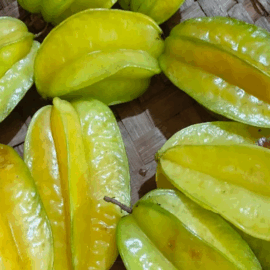 Star Fruit Grafted Plant