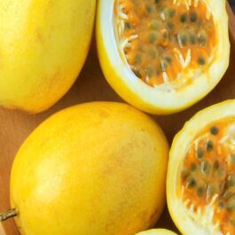 Passion Fruit Yellow Seeds