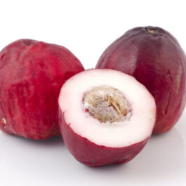Malayan Apple