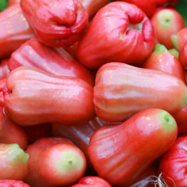 Pink Water Apple
