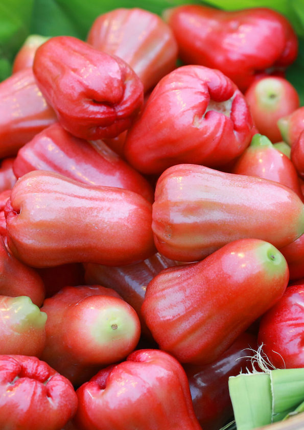 Pink Water Apple