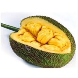 Gumless Jackfruit