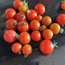Organic Cherry Tomato Seeds