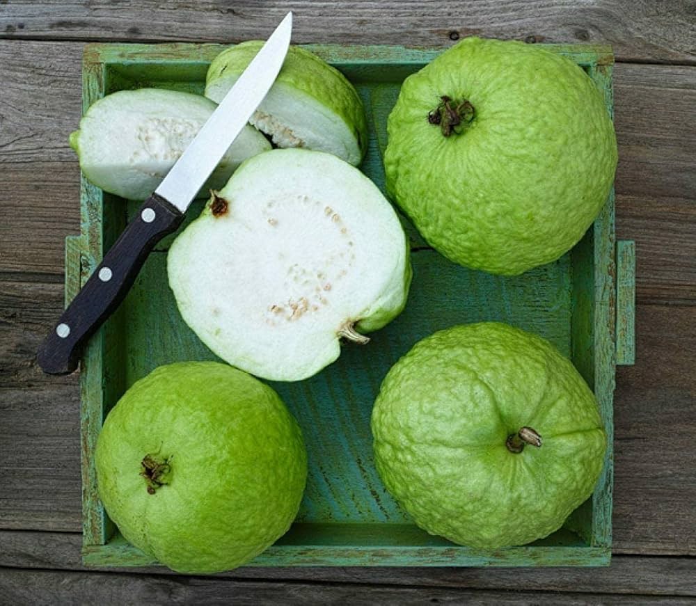 Thai 5 guava