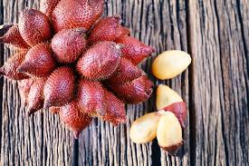 Salak/ Snake fruit plant