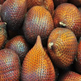 Salak Fruit Plant