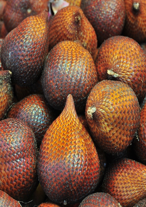 Salak Fruit Plant