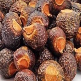 Dried Soapnut