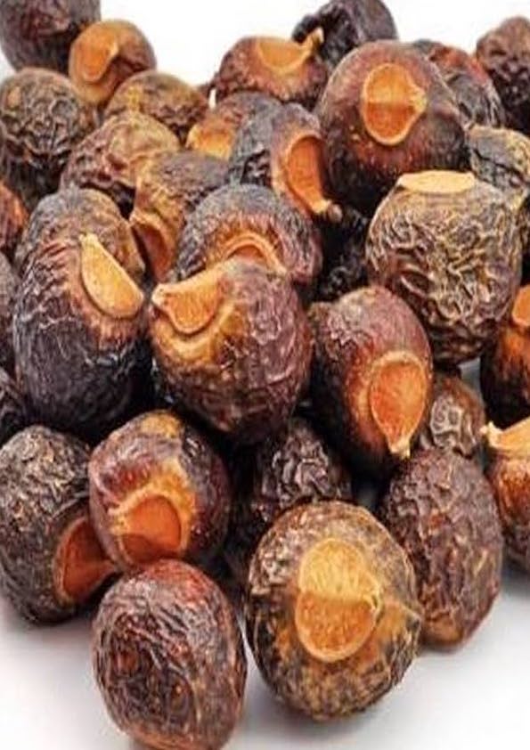 Dried Soapnut