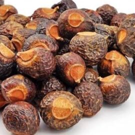 Dried Soapnut