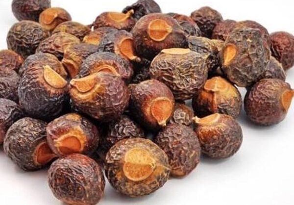 Dried Soapnut