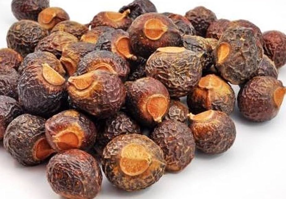 Dried Soapnut