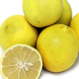 Sweet Lemon Grafted Plant