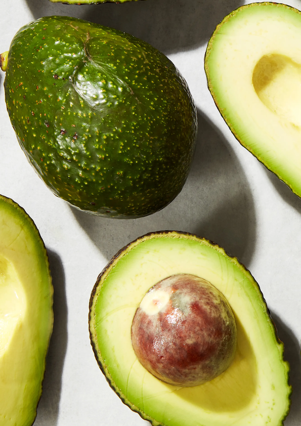 Avacado/Butter Fruit Plant