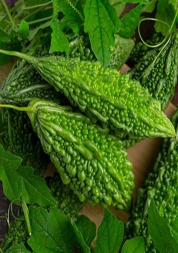 Bitter Gourd Small Seeds