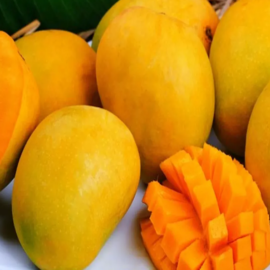 Athi Madhura Mango Grafted Plant