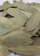 Dried Bay Leaves
