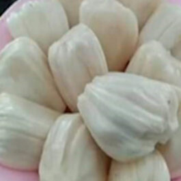 White Jackfruit Grafted Plant