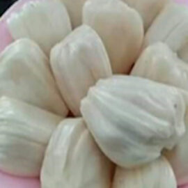 White Jackfruit Grafted Plant