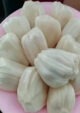 White Jackfruit Grafted Plant