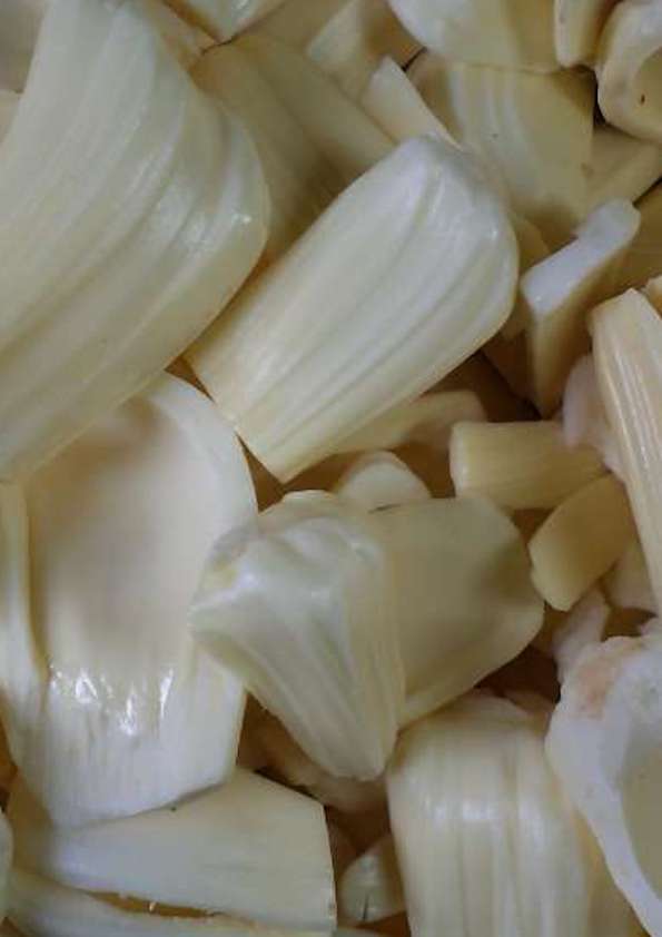 White Jackfruit Grafted Plant